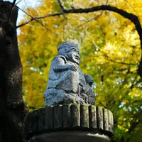 世田谷山観音寺の写真・動画_image_284163