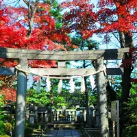 松陰神社の写真・動画_image_284165