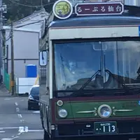 るーぷる仙台の写真・動画_image_284316