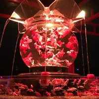 元離宮 二条城の写真・動画_image_284320