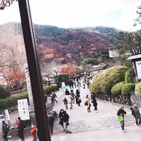 嵐山の写真・動画_image_284322
