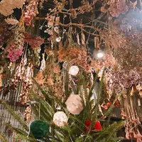 BOOMの写真・動画_image_284345