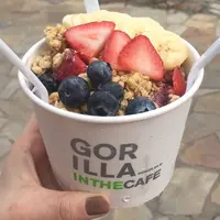 ゴリラ イン ザ カフェの写真・動画_image_284442