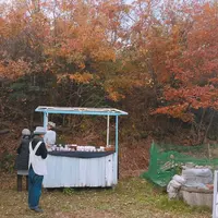toitoitoi bake houseの写真・動画_image_284893