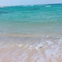 土盛海岸の写真・動画_image_285522