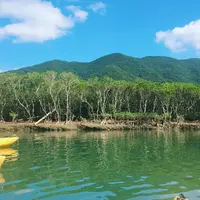 黒潮の森マングローブパークの写真・動画_image_285526