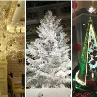 丸の内の写真・動画_image_285561