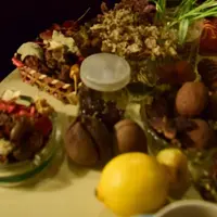 ローレンスの写真・動画_image_286000
