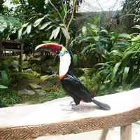 松江フォーゲルパークの写真・動画_image_286561