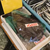 那珂湊おさかな市場の写真・動画_image_286639