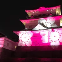 小田原城の写真・動画_image_286677
