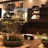 菜の花ムーンカフェの写真・動画_image_286681