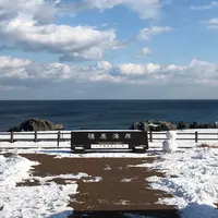 種差海岸の写真・動画_image_287012