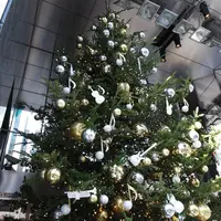 銀座山野楽器 本店の写真・動画_image_287710