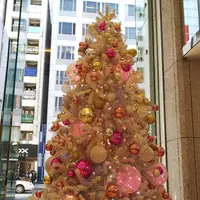 EXITMELSA(イグジットメルサ)の写真・動画_image_287716