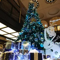 東急プラザ銀座の写真・動画_image_287720