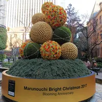 丸の内ブリックスクエア (Marunouchi BRICK SQUARE)の写真・動画_image_287726