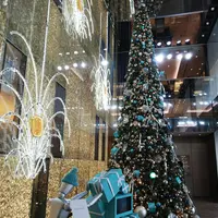 ティファニー銀座本店の写真・動画_image_287737