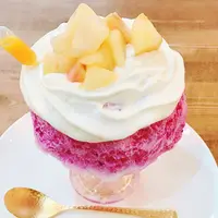 かき氷研究所の写真・動画_image_288759
