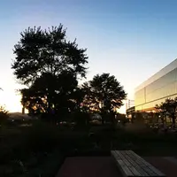 旭川駅の写真・動画_image_288938