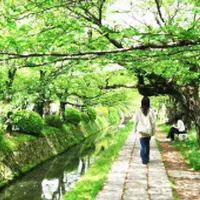 哲学の道の写真・動画_image_289031
