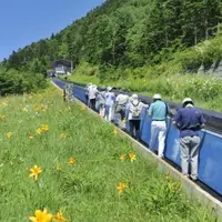 横手山スカイレーターとスカイペアリフトの写真・動画_image_289051