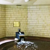 興雲閣の写真・動画_image_289066