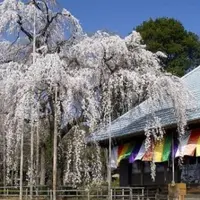 慈眼寺の写真・動画_image_289233