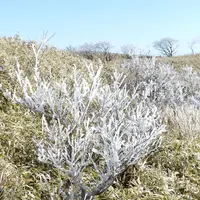 箱根・駒ケ岳ロープウェーの写真・動画_image_289495