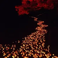 竹田市の写真・動画_image_289661
