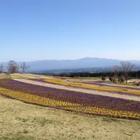 くじゅう花公園の写真・動画_image_289664