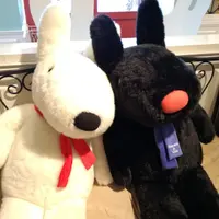 リサとガスパールタウンの写真・動画_image_290481