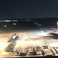 成田空港第一ターミナル南の写真・動画_image_290937