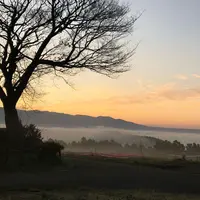 雲海の写真・動画_image_290954