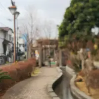 舟入緑道の写真・動画_image_291680