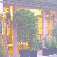 lilaの写真・動画_image_291805