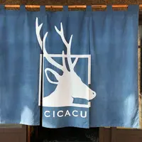旅館cicacuの写真・動画_image_292187