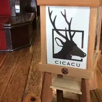 旅館cicacuの写真・動画_image_292210