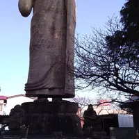 清林寺の写真・動画_image_292219