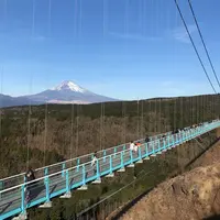 三島スカイウォークの写真・動画_image_292979
