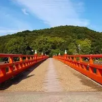 朝霧橋の写真・動画_image_293185