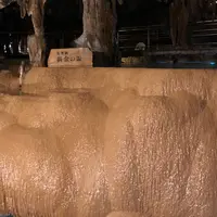玉泉洞の写真・動画_image_293214