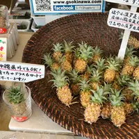 国際通りの写真・動画_image_293503