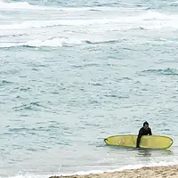 八丁浜シーサイドパークの写真・動画_image_293899
