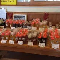 Honey Bの写真・動画_image_294596