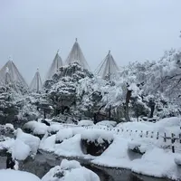 兼六園の写真・動画_image_295083