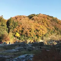 長瀞渓谷（岩畳）の写真・動画_image_295297