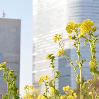 浜離宮恩賜庭園の写真・動画_image_296003