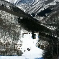 みなかみ町 赤沢スキー場の写真・動画_image_296026
