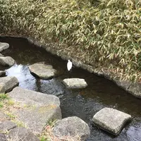 仙台堀川公園の写真・動画_image_296145